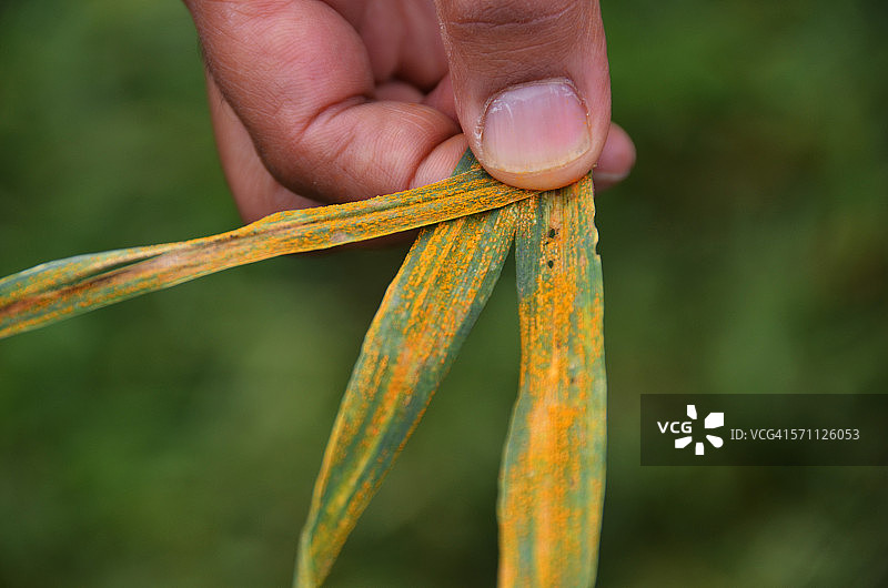 锈迹永不停止图片素材