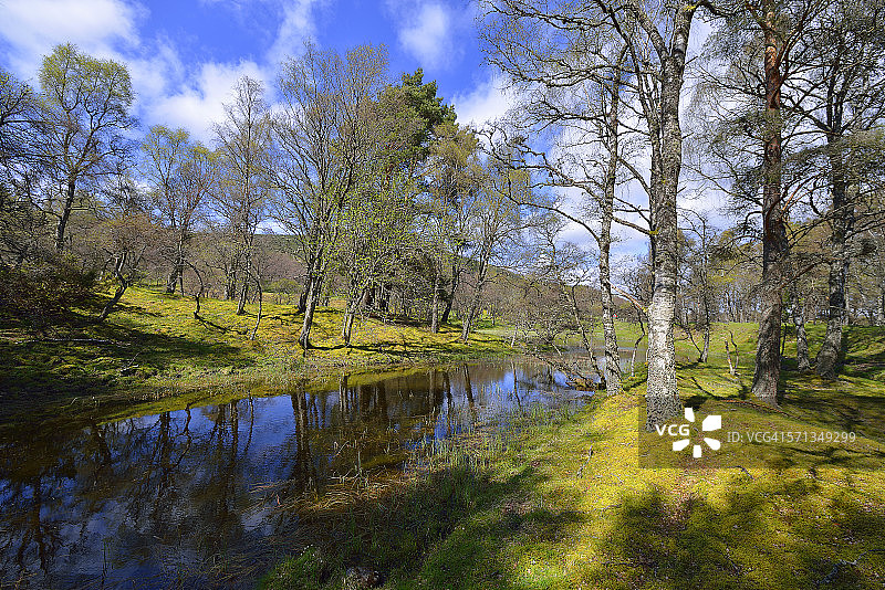 与朋友们一起静修图片素材