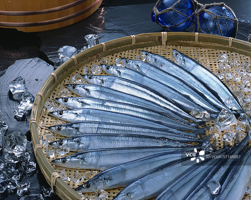 秋刀鱼图片素材