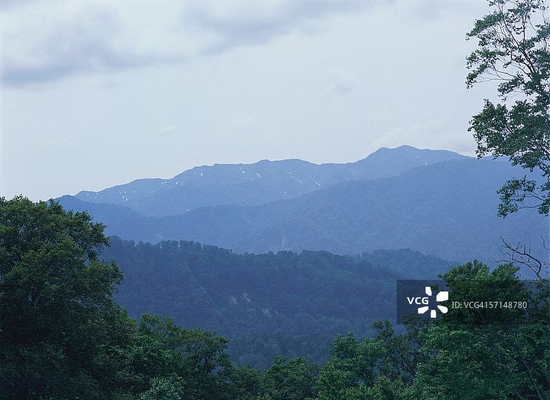 日本白神山地图片素材