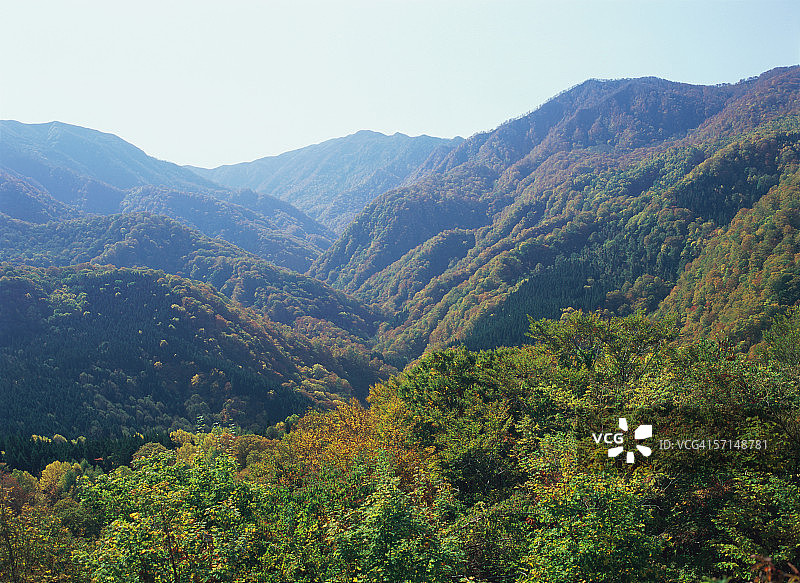 日本白神山地图片素材