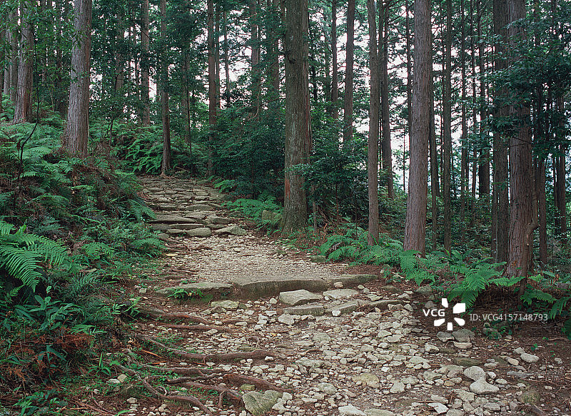 熊野的朝圣路线图片素材