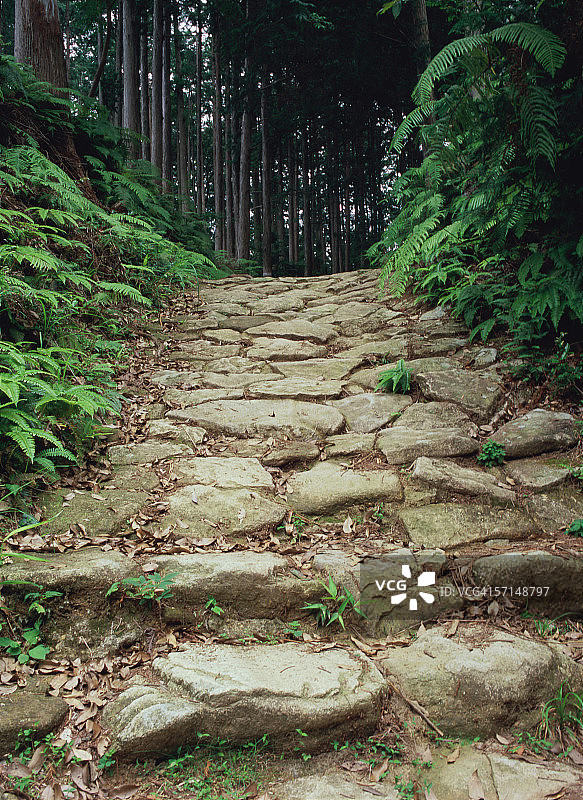 熊野的朝圣路线图片素材