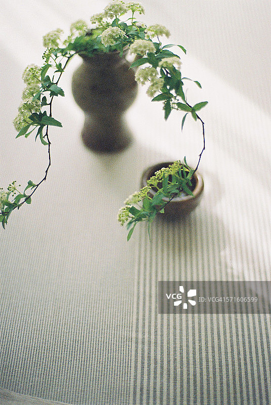 法式陶器插花图片素材