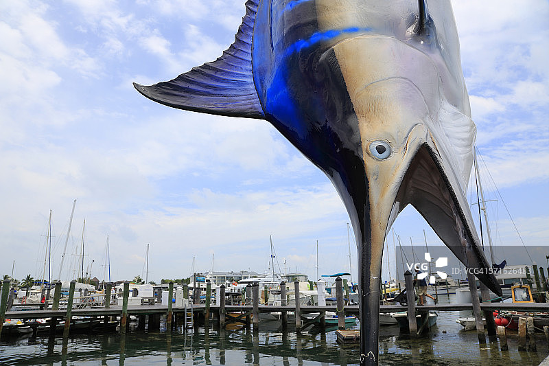 悬挂在海港中的马林鱼模型图片素材