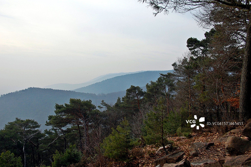 普法尔茨森林，莱茵兰-普法尔茨州图片素材
