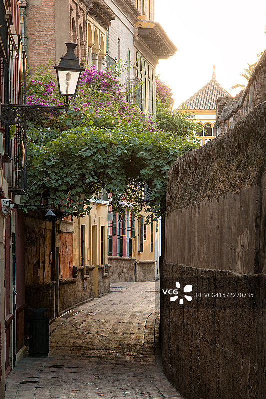 圣克鲁斯区图片素材