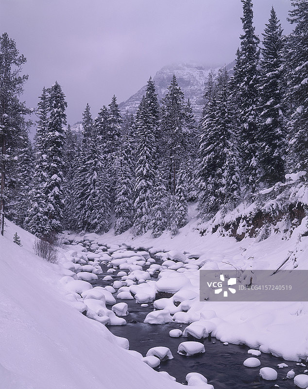 苏打孤丘溪，冬季的阿比阿塔峰和白雪覆盖的树木，小溪流经白雪皑皑的山区，黄石国家公园，怀俄明州图片素材