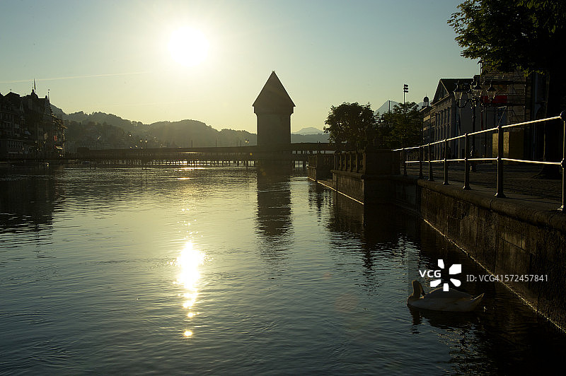 卡贝尔桥附近的天鹅图片素材