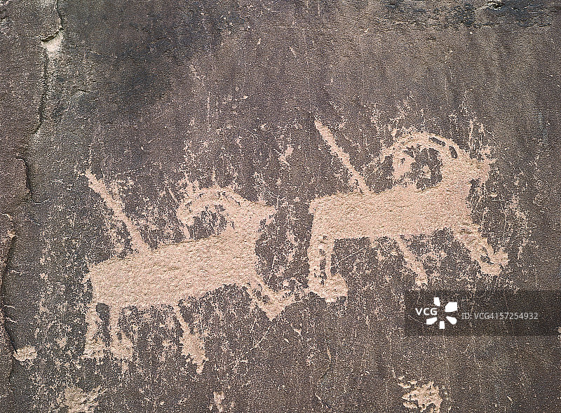 犹他州九英里峡谷的岩画，描绘了被矛刺穿的大角图片素材