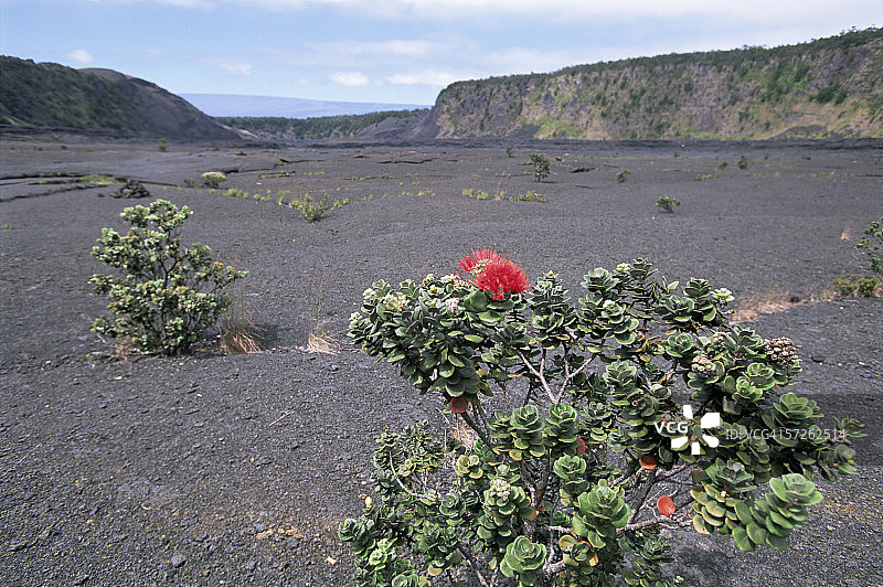 基拉韦厄火山，夏威夷大岛，夏威夷群岛，美国，北美洲图片素材
