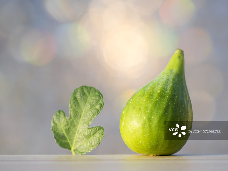 新鲜采摘的无花果图片素材