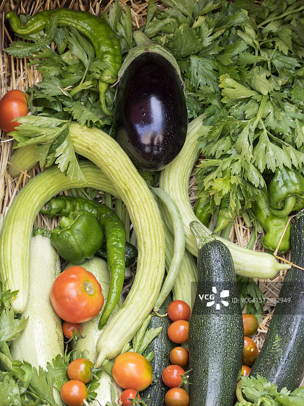 装有不同种类蔬菜的盒子图片素材