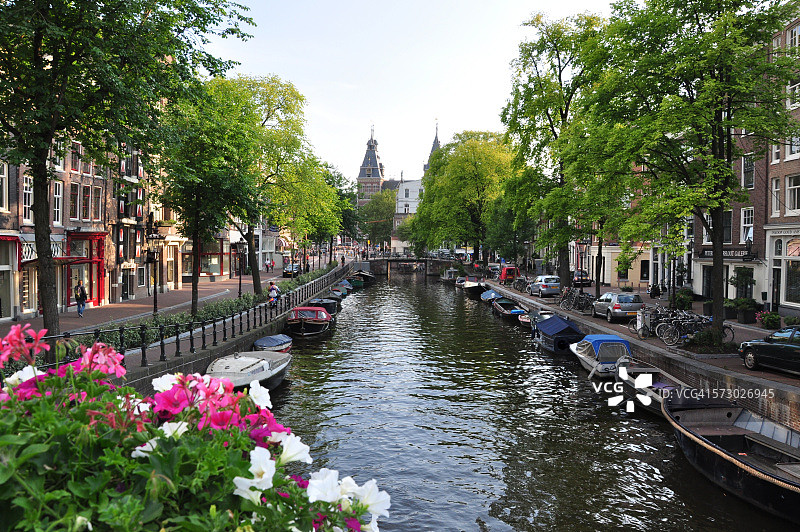 阿姆斯特丹的花卉图片素材