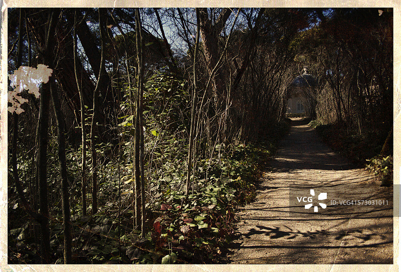 蜂巢西班牙马德里卡普里乔公园图片素材