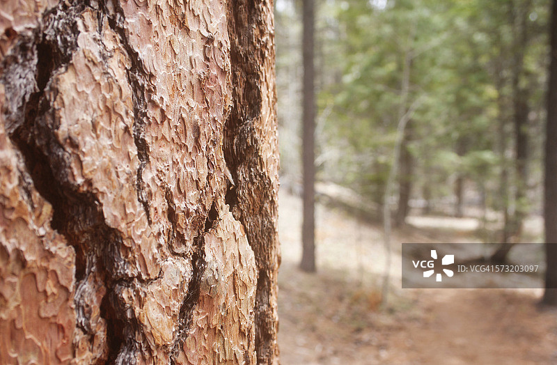 一半一半图片素材