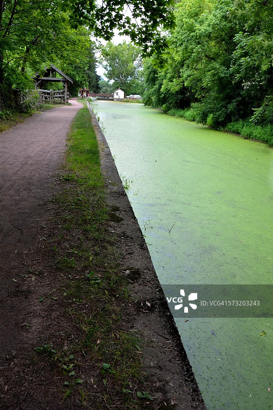 一半一半图片素材