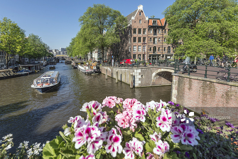 阿姆斯特丹运河上的鲜花图片素材