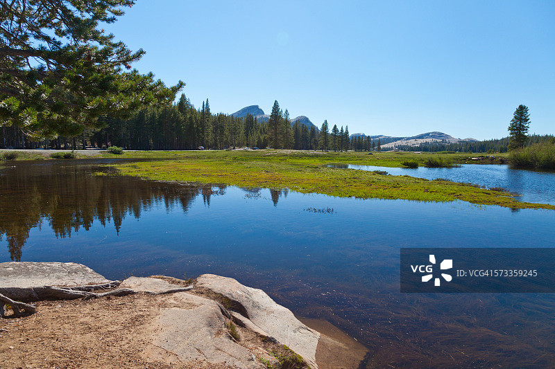 约塞米蒂国家公园被洪水淹没的图奥勒米草甸图片素材