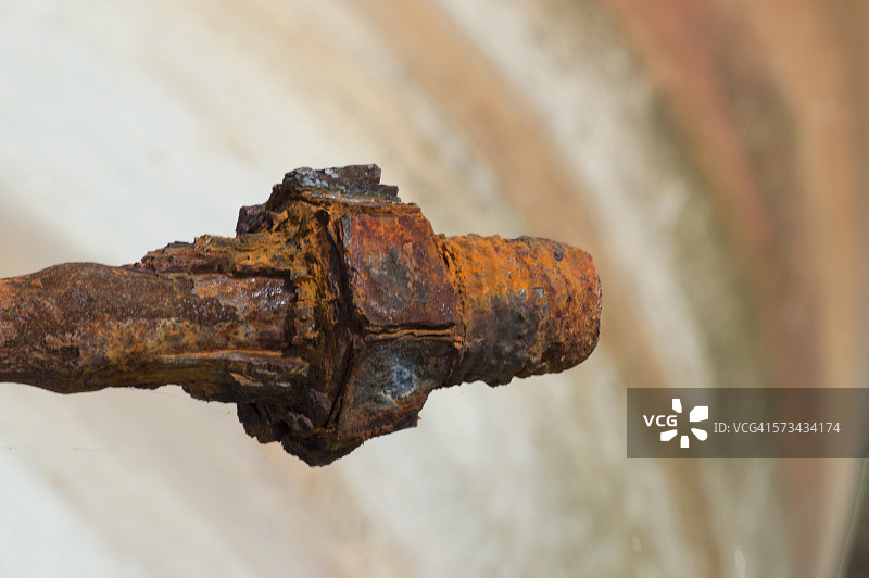 贻贝床的锈蚀螺栓图片素材