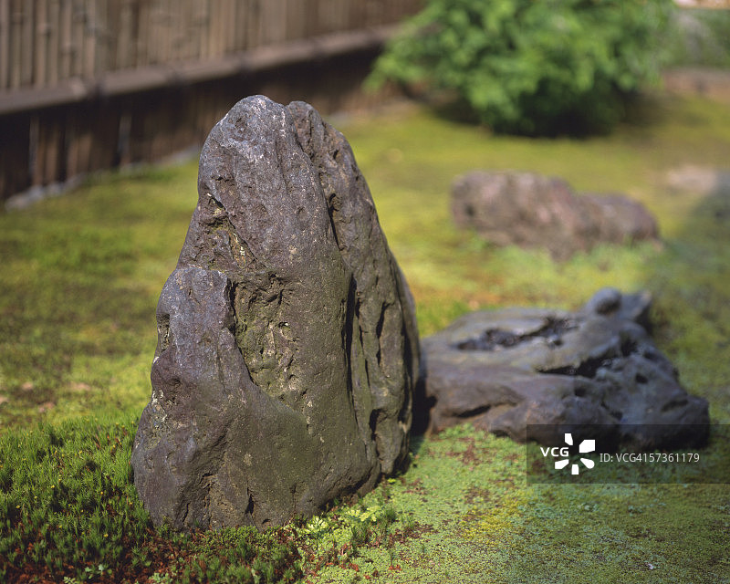 花园里的石头图片素材