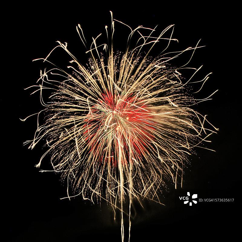 烟花风格菊花图片素材