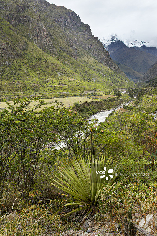 秘鲁皮斯卡库乔印加古道图片素材