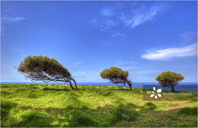 顺风弯曲图片素材