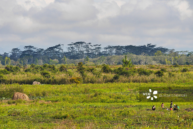 瓦梅纳巴列姆山谷，巴布亚图片素材
