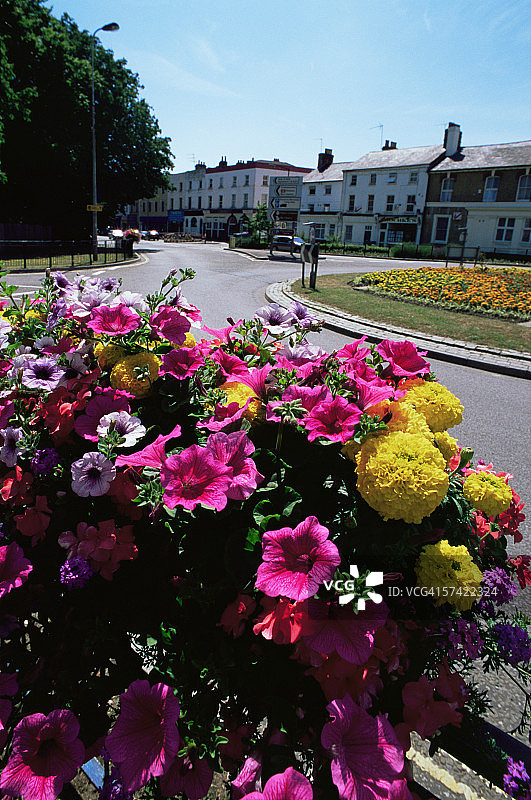 夏季的奥尔德肖特图片素材
