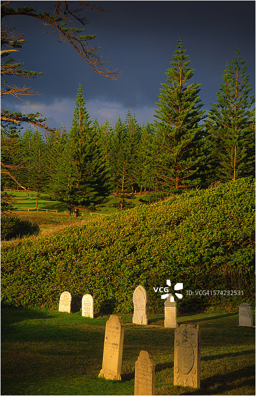 墓地黎明图片素材