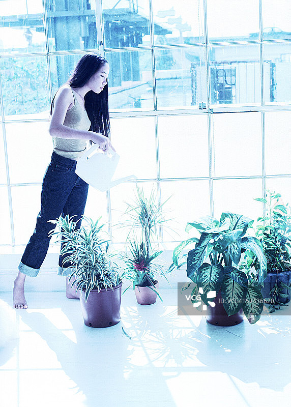 年轻女子用洒水壶浇花图片素材