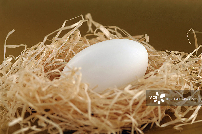 草窝里的鸡蛋特写图片素材