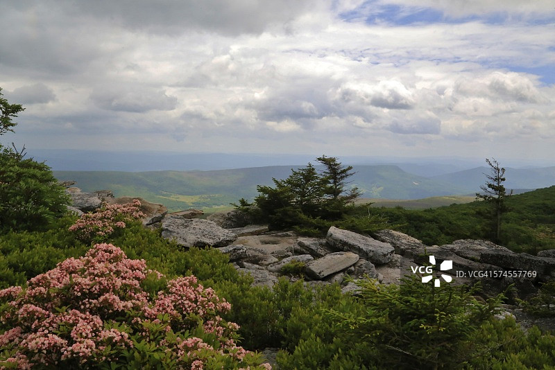 莫农加希拉国家森林熊岩悬崖风光图片素材