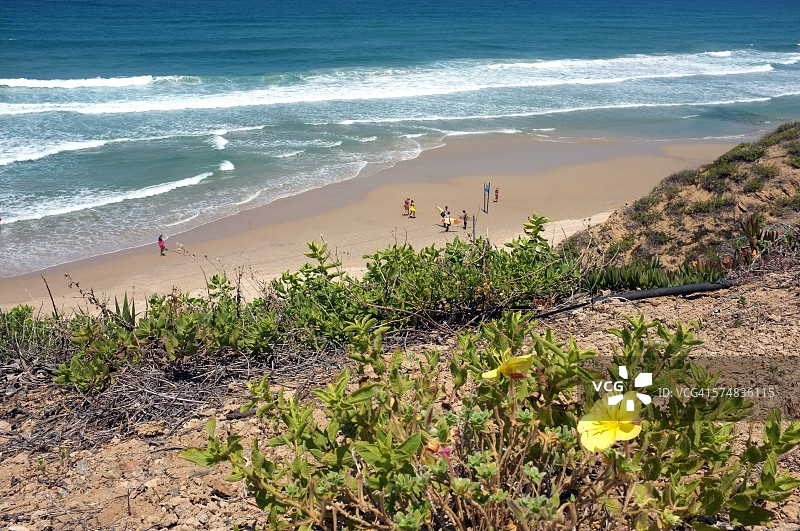 海滩月见草与地中海图片素材
