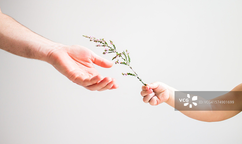 孩子递给成人一朵花图片素材
