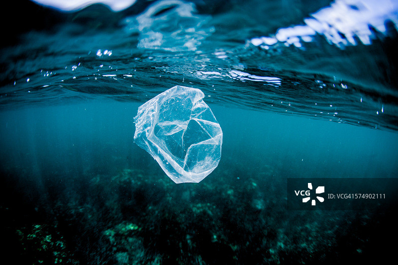 哥斯达黎加海洋中漂浮在珊瑚礁上的塑料袋图片素材