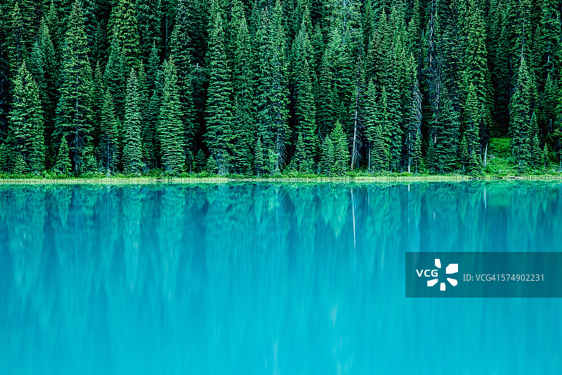 加拿大不列颠哥伦比亚省幽鹤国家公园翡翠湖中倒映的常绿树图片素材