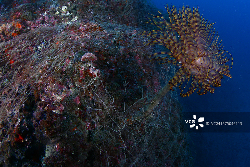 海洋环境破坏图片素材