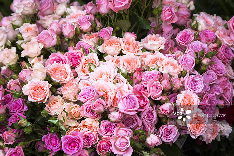 街头市场的粉色玫瑰图片素材