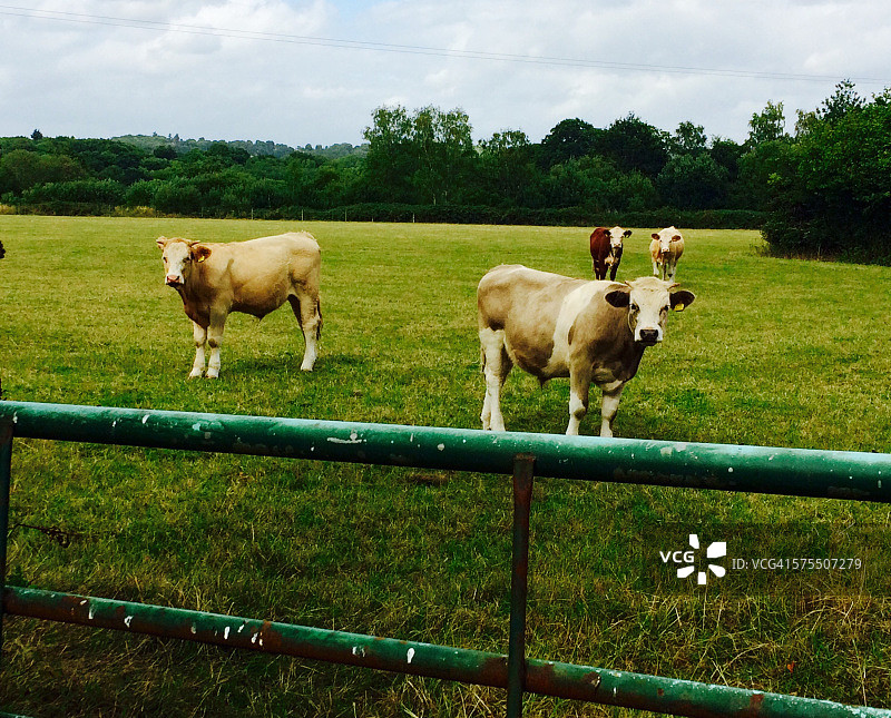 本月最佳图片素材