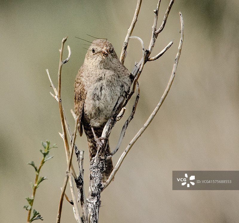 送餐服务图片素材