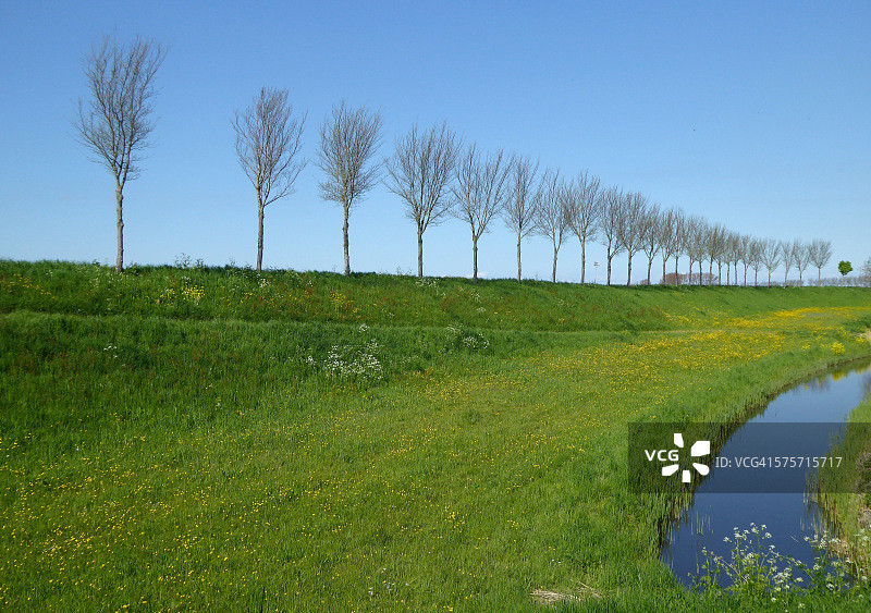 荷兰北贝姆斯特尔圩田风光图片素材