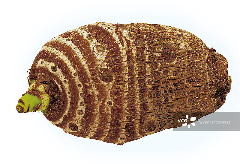 根茎蔬菜特写图片素材