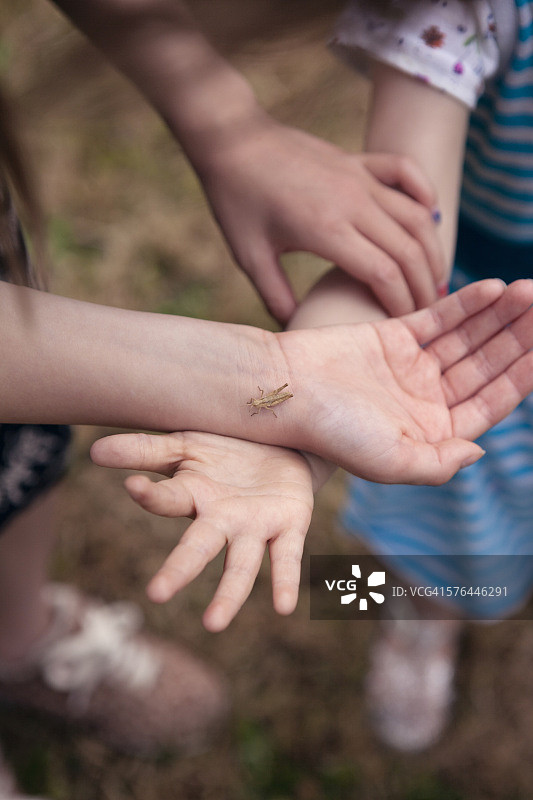 儿童手臂上的蚱蜢图片素材