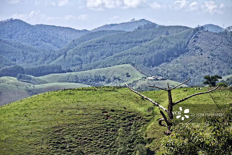 山脉上的绿色调图片素材