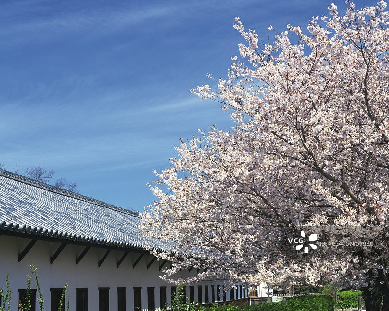 福冈城图片素材