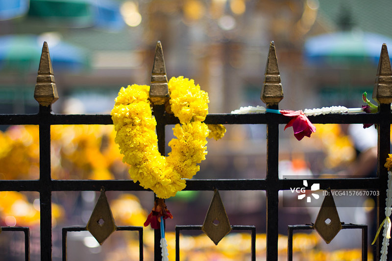 四面佛的鲜花图片素材