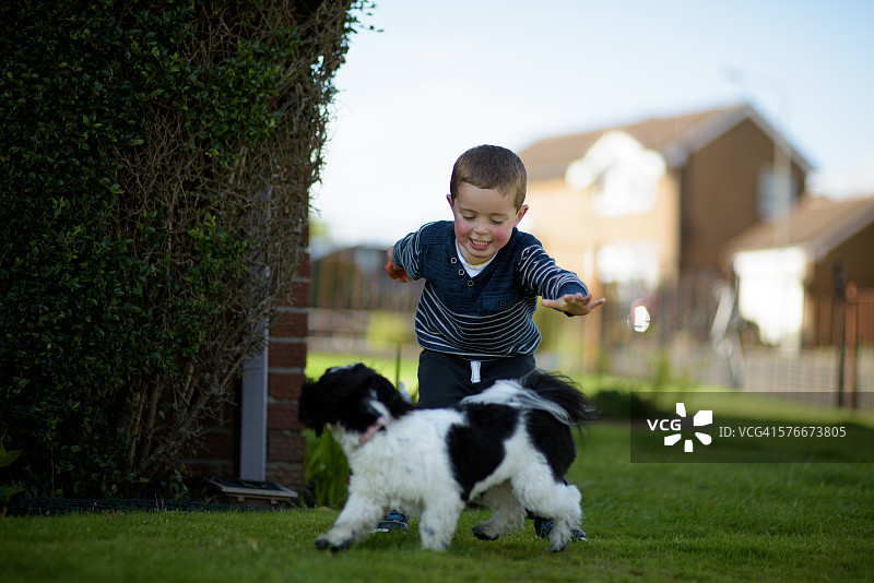 男孩在花园里和狗玩耍图片素材