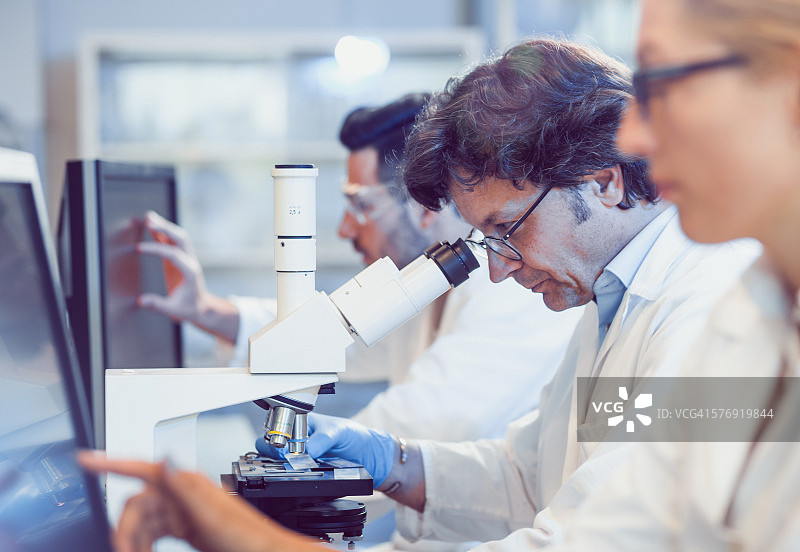 在实验室工作的科学家图片素材